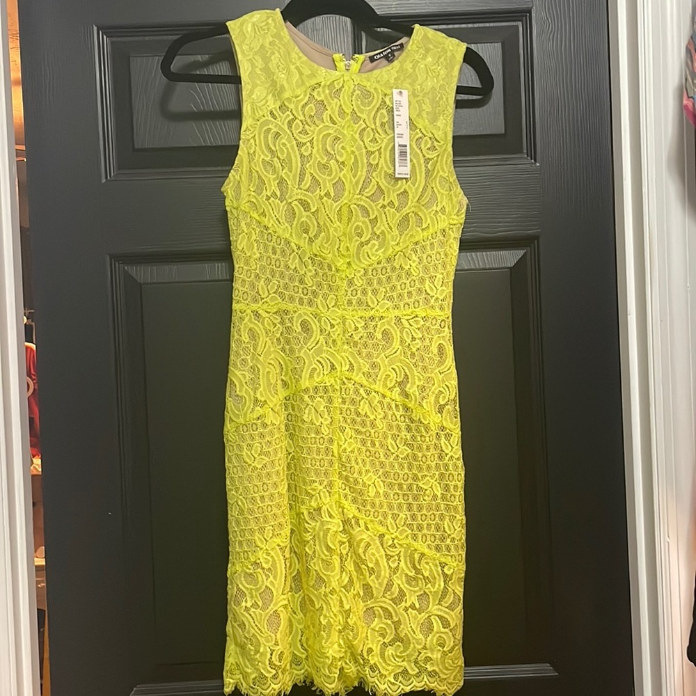 NWT Gianni Bini Parisian Garden Dress in Citrine